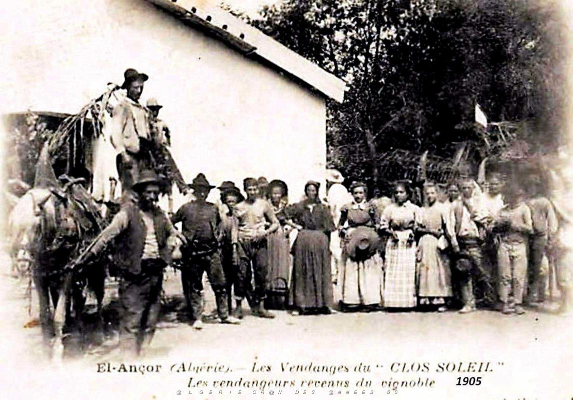 El-Ancor - Vendanges du Clos Soleil - 1905.jpg